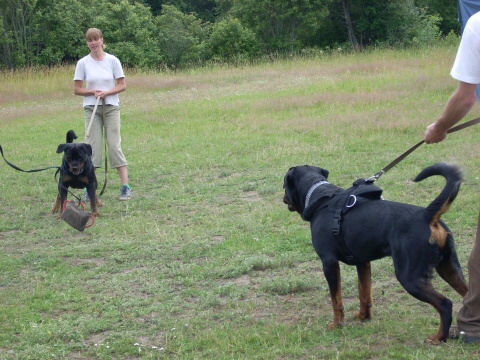 Training in Estonia 6/2007